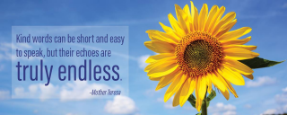 Suicide Bereavement Blog